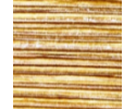 Golden Wood 