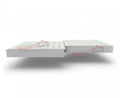 Двухслойные сэндвич-панели из пенополистирола, ширина 1000 мм, толщина 150 мм, 0.5, RAL9002