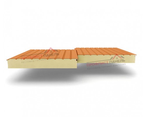 Двухслойные сэндвич-панели из пенополиуретана, ширина 1000 мм, толщина 120 мм, 0.5, RAL2004