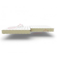 Стеновые сэндвич-панели с наполнителем из пенополиизоцианурата толщиной 220 мм, ширина панели 1000 мм, цвет RAL 9003