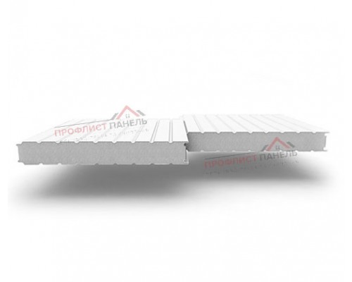Стеновые сэндвич-панели из пенополистирола, ширина 1160 мм, толщина 100 мм 0.5/0.5, RAL9003