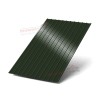 Профнастил С10-1160-0.5 RAL6007 Viking E